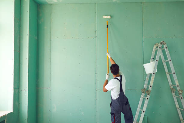 Best Asbestos and Lead Testing During Mold Inspection  in Fruitvale, CO