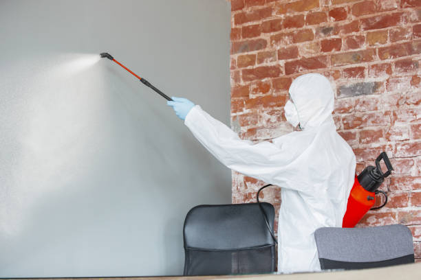 Best Dehumidification Services  in Fruitvale, CO