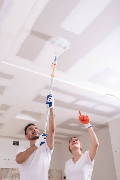 Best Emergency Mold Remediation  in Fruitvale, CO