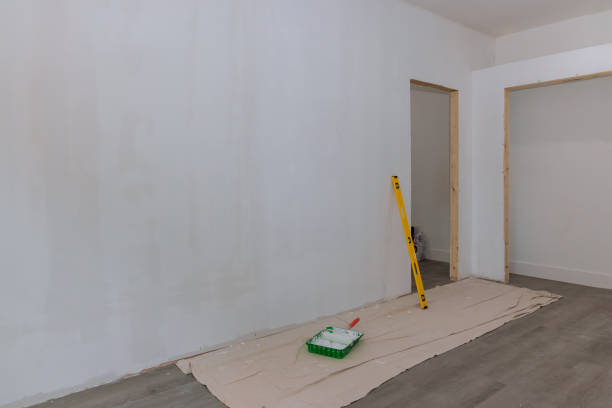 Best Post-Construction Mold Inspection  in Fruitvale, CO