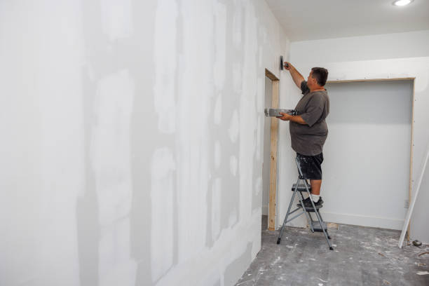  Fruitvale, CO Mold Removal Pros