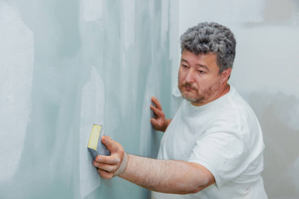 Best Comprehensive Air Testing for Mold Contaminants  in Fruitvale, CO