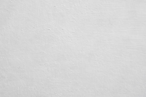 Best Mold Odor Removal Services  in Fruitvale, CO