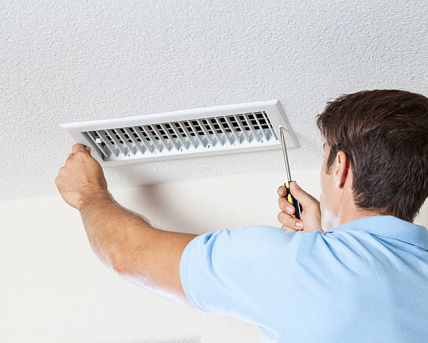 Best Commercial Mold Inspection  in Fruitvale, CO