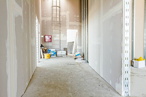 Best Mold Removal for HVAC Installations  in Fruitvale, CO