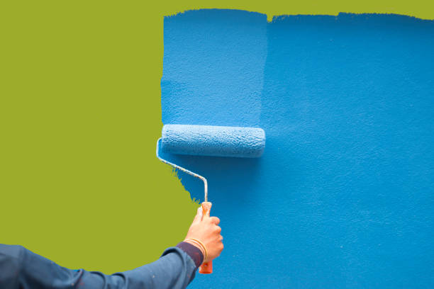Best Mold-Related Health Consultation  in Fruitvale, CO